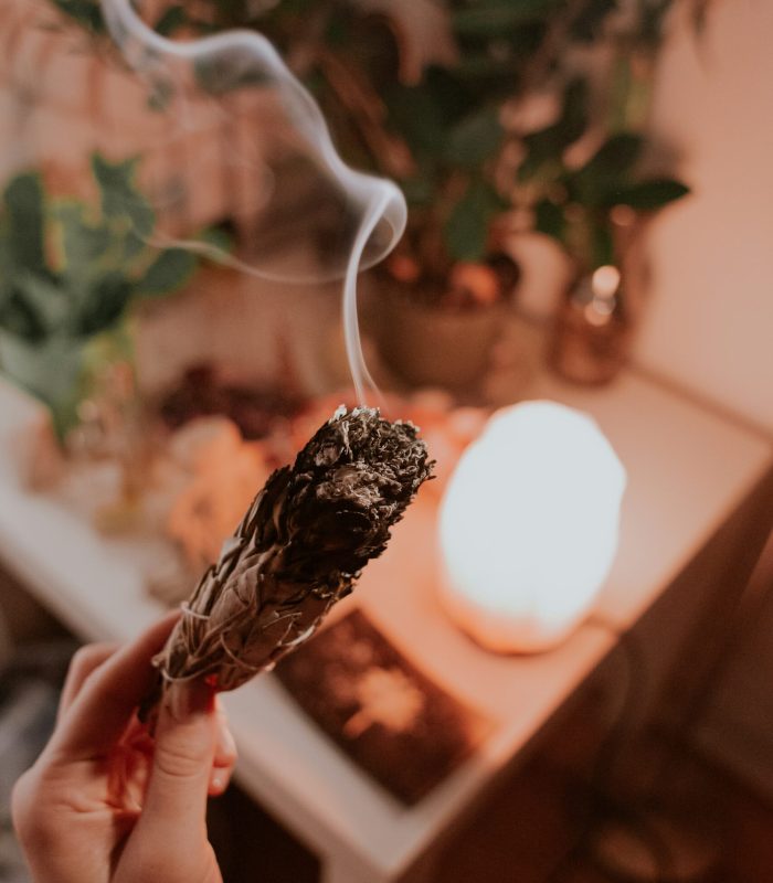 marcos-paulo-prado-tt7kqCbqGDI-unsplash